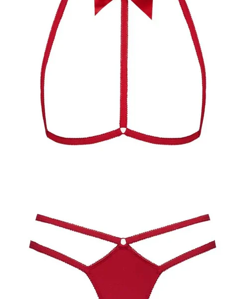 Le Petit Secret Red Harness & Thong