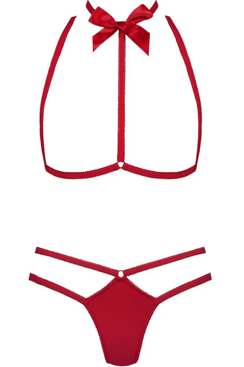 Le Petit Secret Red Harness & Thong Le Petit Secret Red Harness & Thong